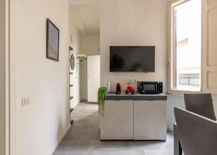 Argilla Place Large Close To Saint Peter Basilica Apartment *